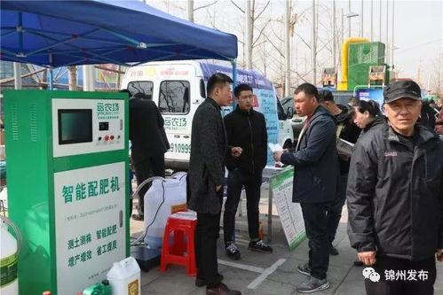 锦州今日爆料电话,电话揭露惊人内幕，真相令人震惊！  第1张